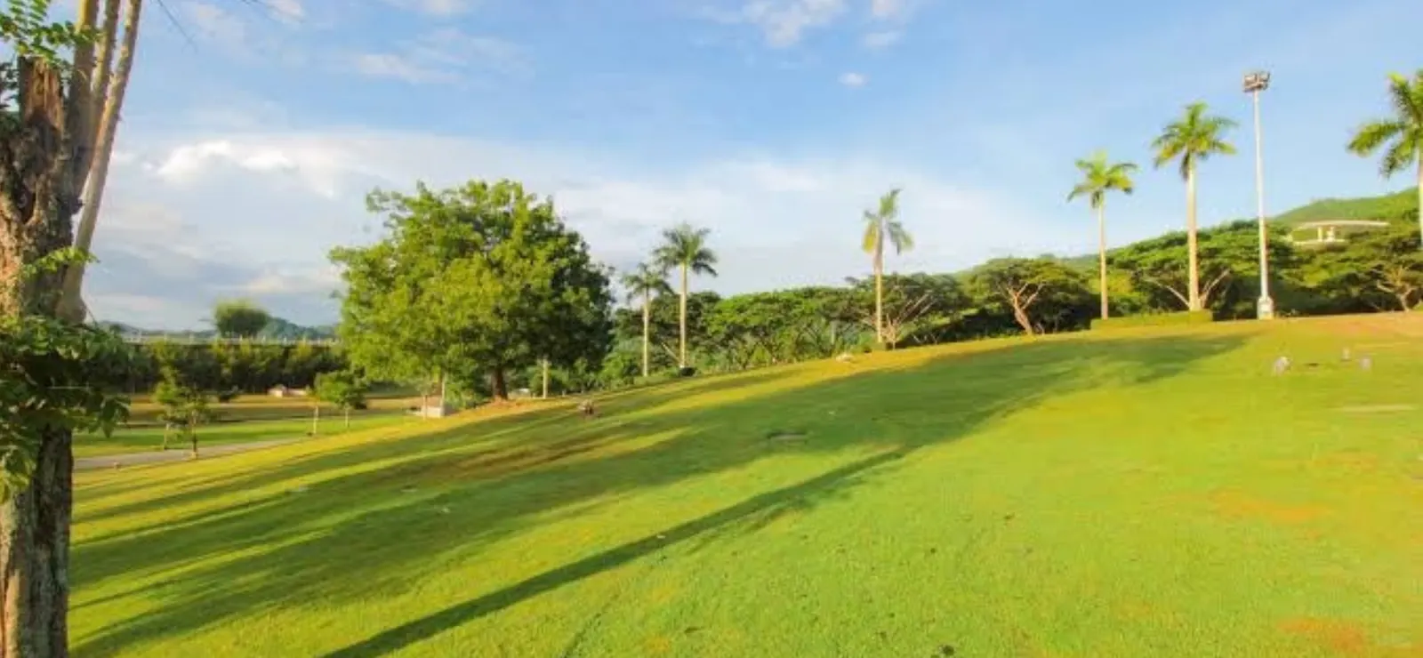 Memorial park grounds